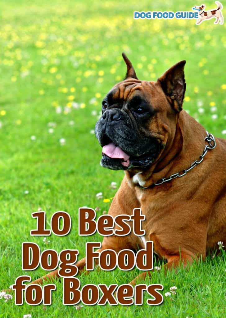 Dog Food for Boxers