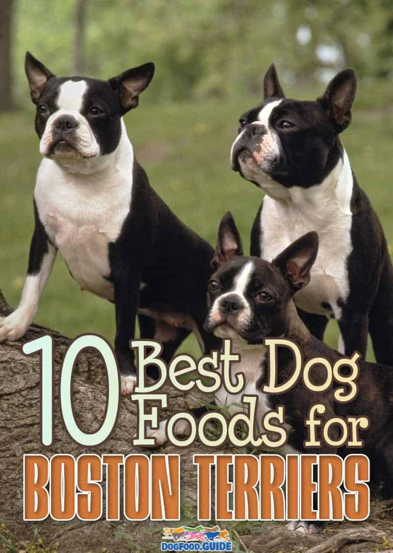 10 Healthiest & Best Dog Food for Boston Terriers in 2022 Revealed!