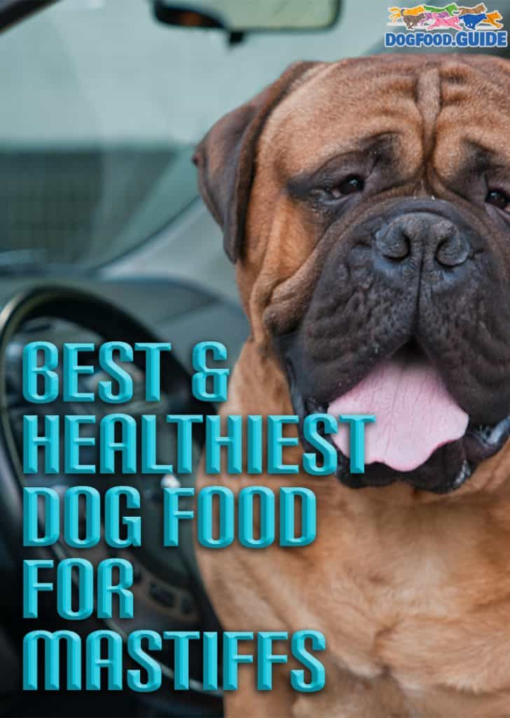 Best Dog Food for Mastiffs