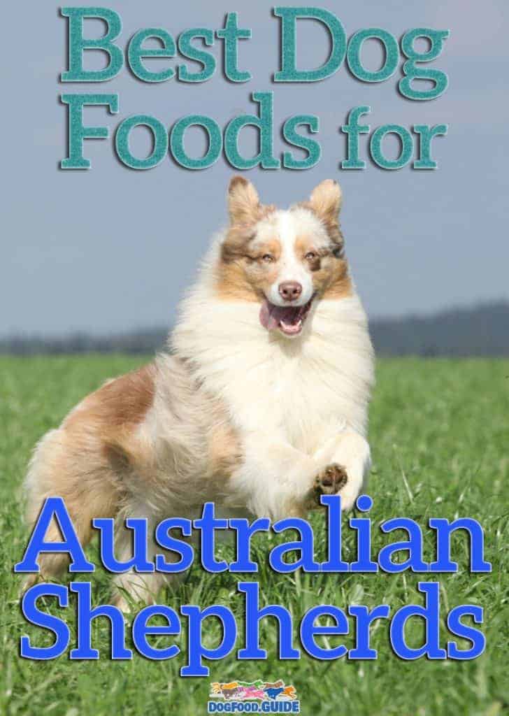 Best Dog Foods for Australian Shepherds