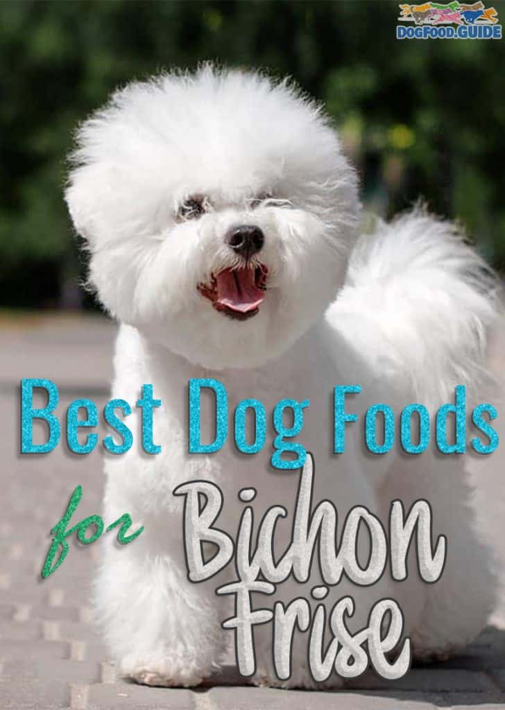 Best Dog Foods for Bichon Frise