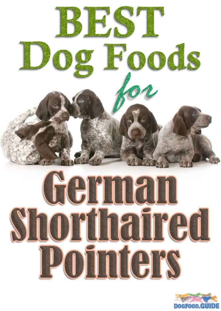 Best Dog Foods for German Shorthaired Pointers