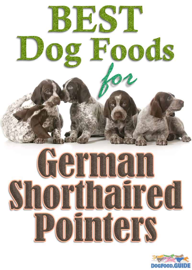 10 Best Dog Food for German Shorthaired Pointers in 2022