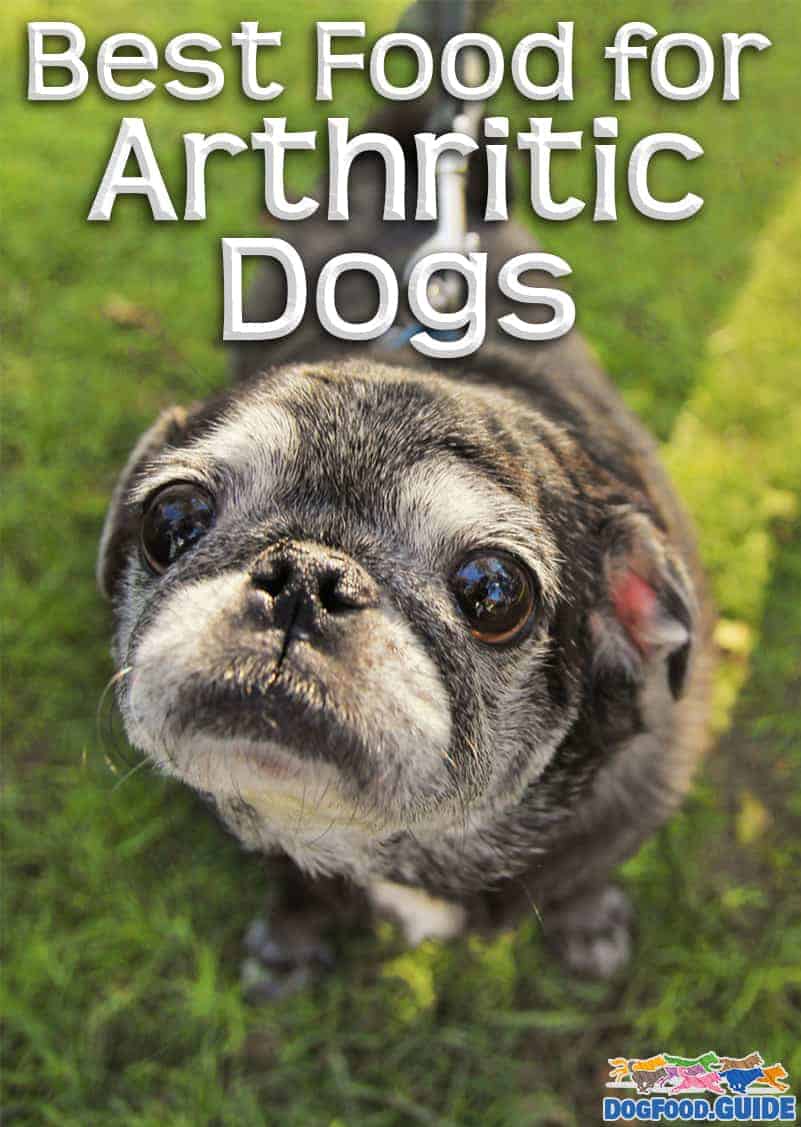 10 Best Dog Foods for Arthritic Dogs For Healthier Hips & Joints