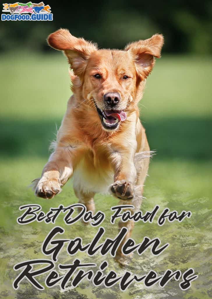 Best and Healthiest Dog Food for Golden Retrievers