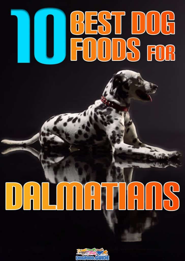 Best Dog Food For Dalmatians