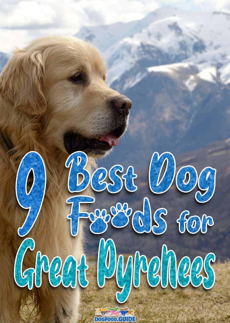 Top 10 Best Dog Food For Great Pyrenees for 2022 Revealed!