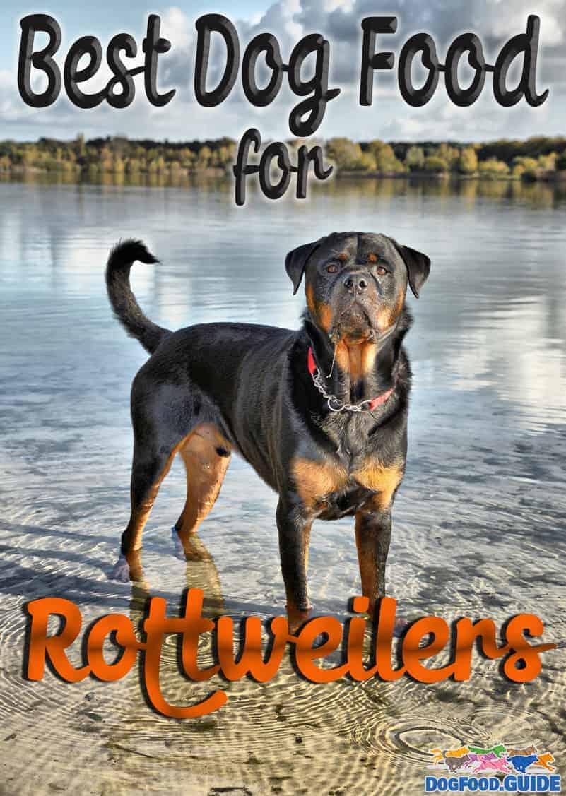 10 Healthiest & Best Dog Food For Rottweiler in 2022 Revealed!
