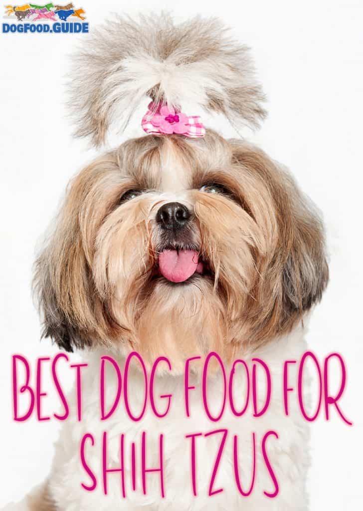 Best Dog Food for Shih Tzus