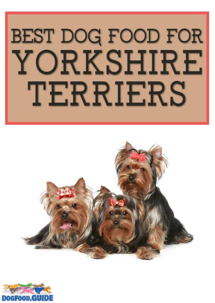 Best Dog Food for Yorkshire Terriers 2020