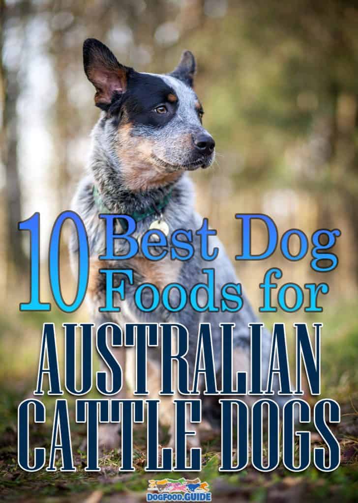 Best Dog Foods For Australian Cattle Dogs