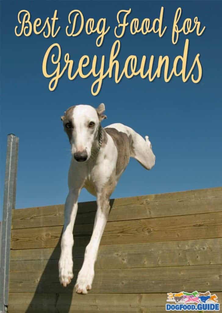 Best Dog Foods For Greyhounds