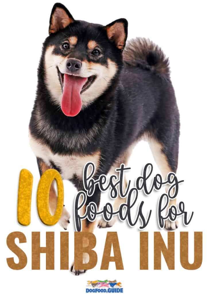 Best Dog Foods For Shiba Inus