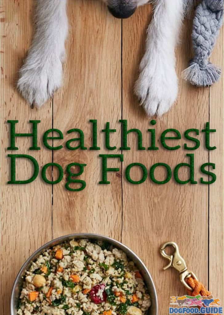 Healthiest Dog Foods