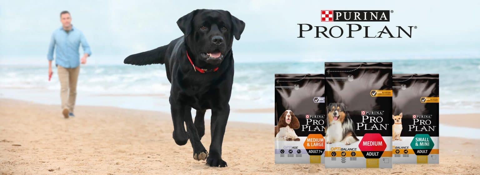 2022 Pro Plan Dog Food Review The Best Nutrition for Pets?