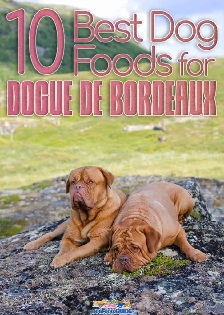 Best Dog Food For Dogue De Bordeaux