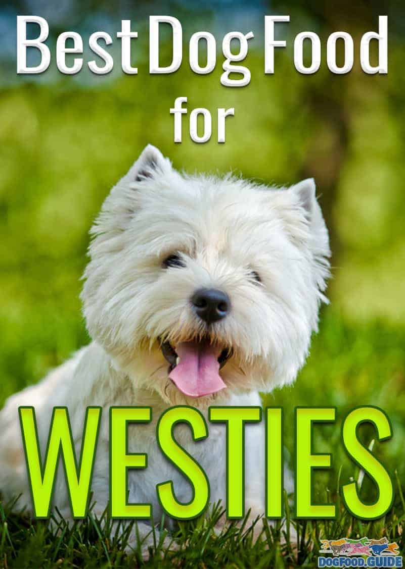 Best Dog Food For West Highland Terriers In 2022 Revealed!