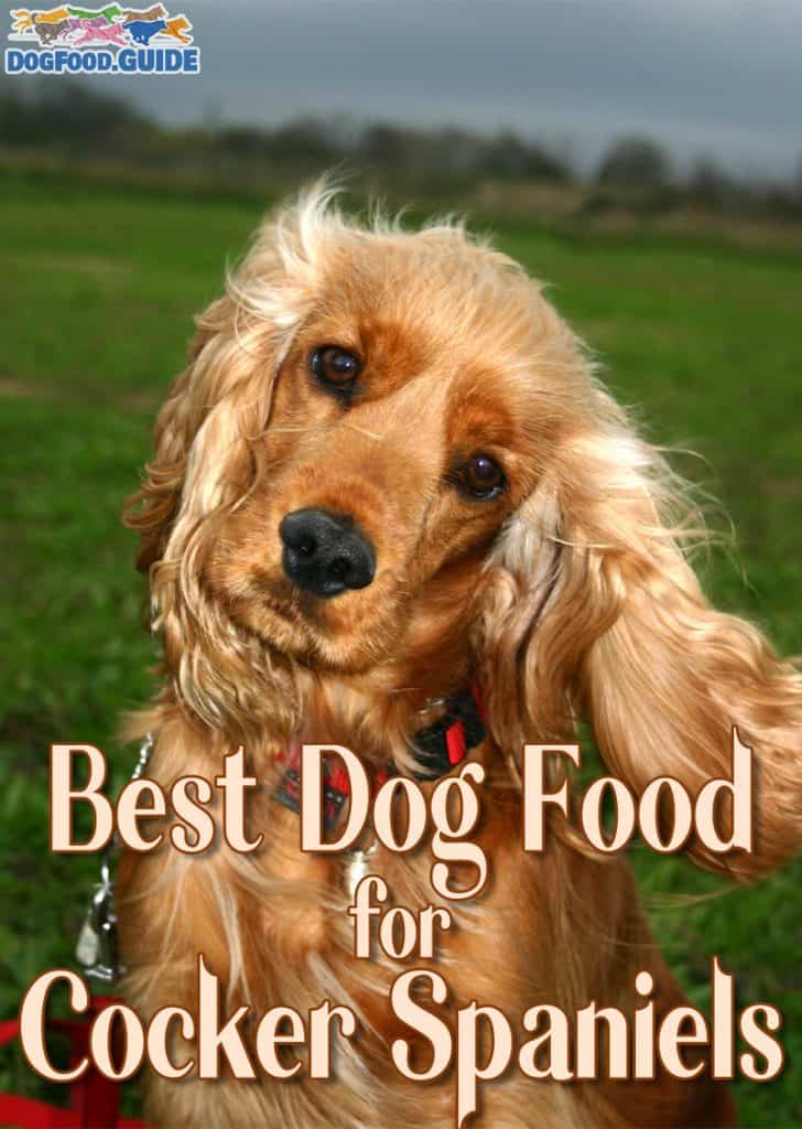 Best Dog Food for Cocker Spaniels