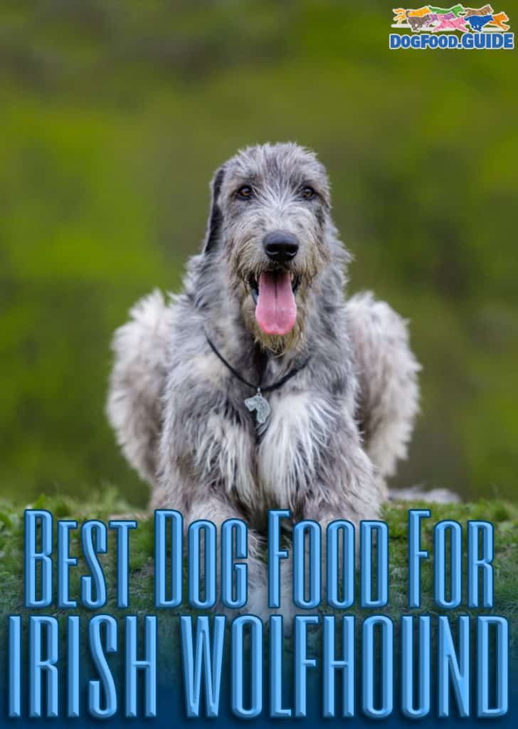 Best Dog Food for Irish Wolfhound