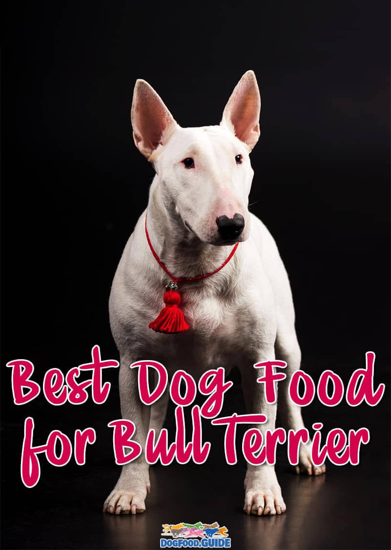 10 Best Dog Food For Bull Terrier Best Brands Revealed!