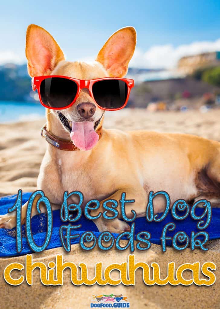 Best Dog Foods For Chihuahuas