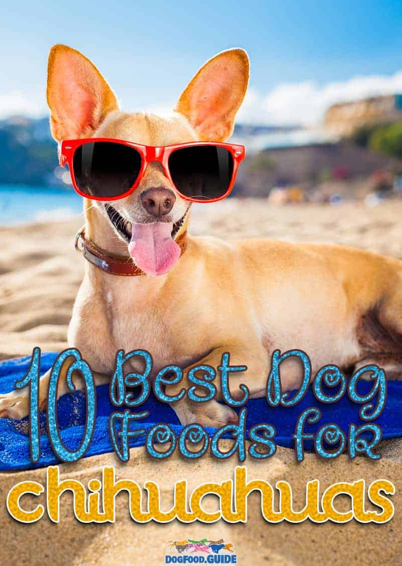 10 Healthiest & Best Dog Food For Chihuahuas 2022 Revealed!