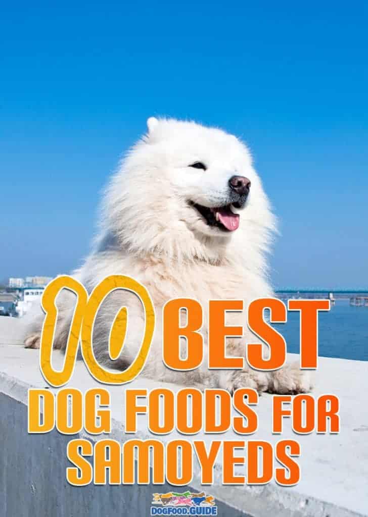 Best Dog Foods For Samoyeds