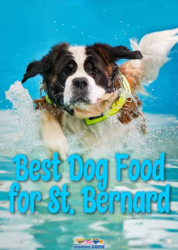 Best Dog Foods For St. Bernards