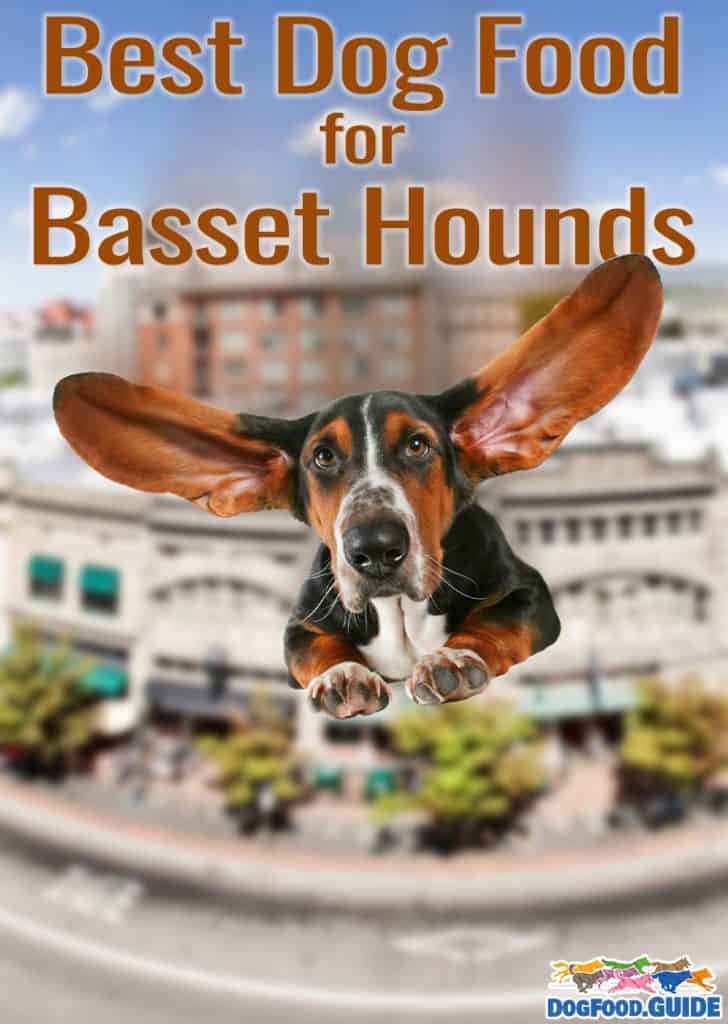 Best Dog Food for Basset Hounds