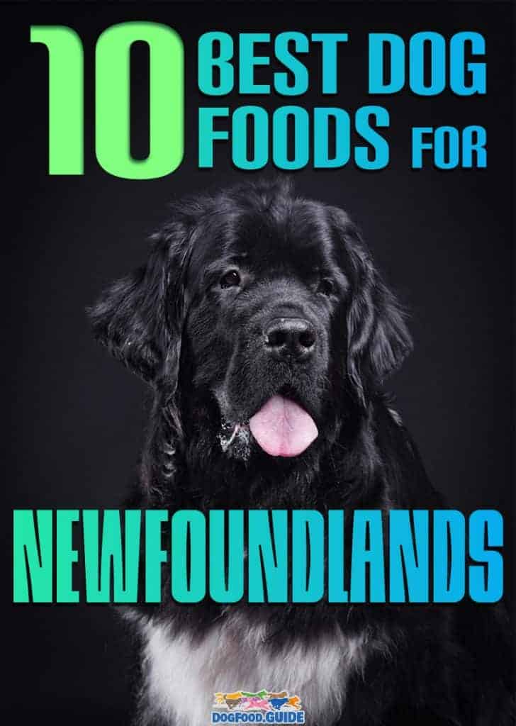 Best Dog Foods for Newfoundlands