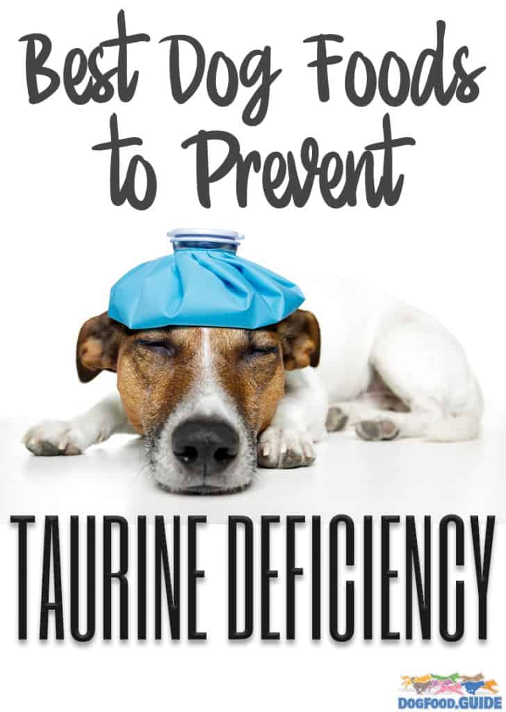 Best Dog Foods For Taurine Deficiency: For Better Heart and Minds 3