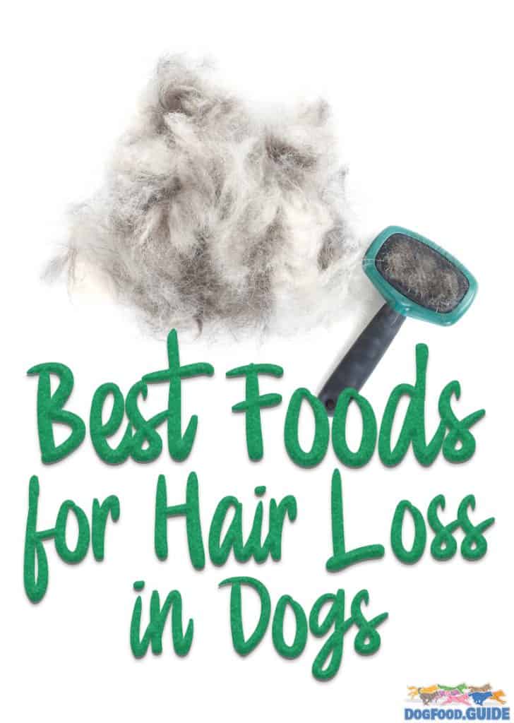 Best Foods for Hair Loss in Dogs