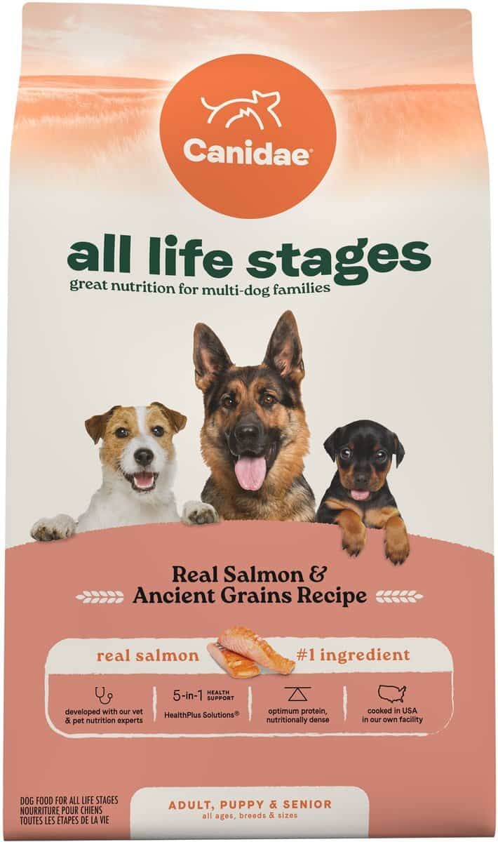 CANIDAE All Life Stages Real Salmon & Ancient Grains Recipe Dry