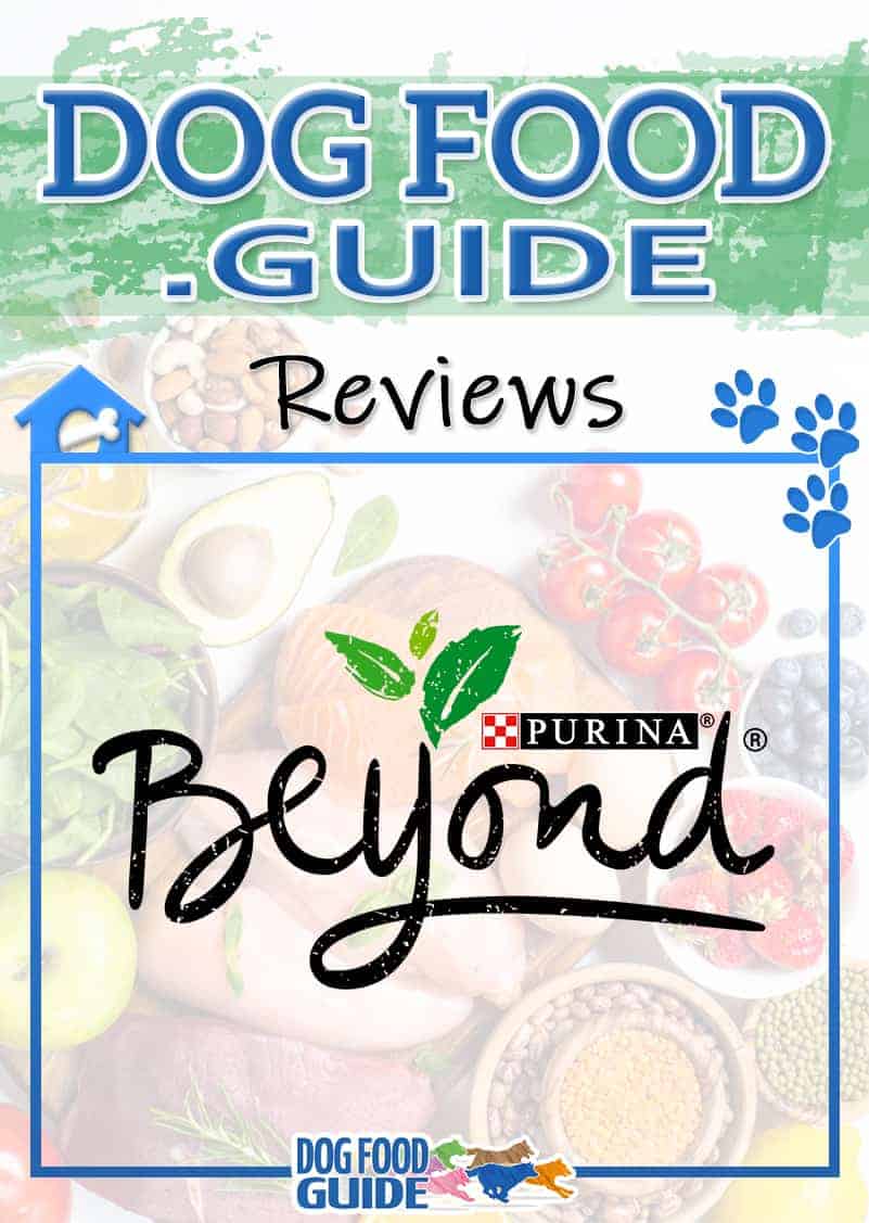 Purina Beyond Dog Food Review 2022 Best Budget Option?