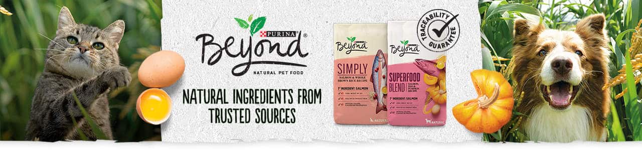 purina beyond recall