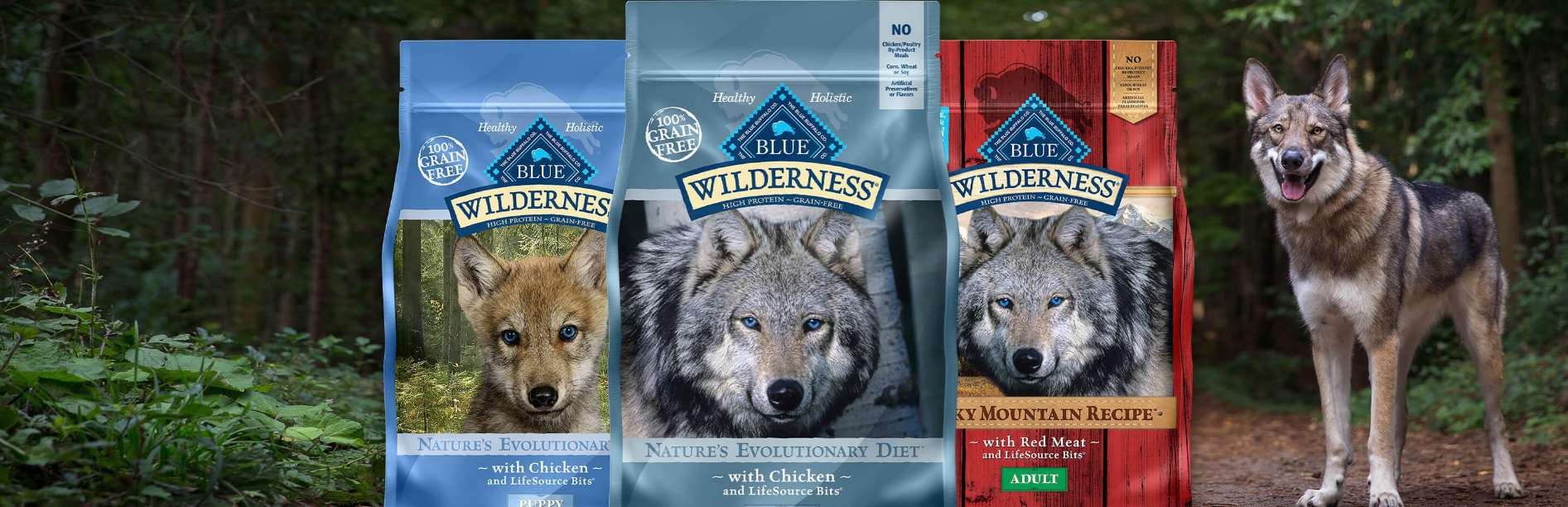 Blue Wilderness Dog Food Review 2022 Best Ancestral Diet?