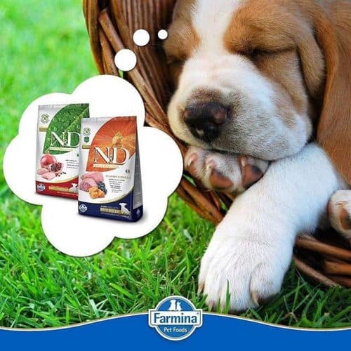 Farmina Dog Food Reviews 2022 The Best Organic Dog Food?