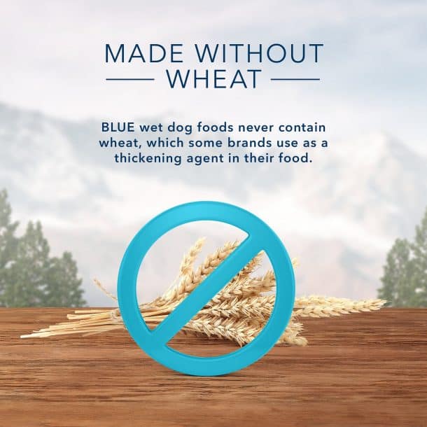 Blue Wilderness Dog Food Review 2022 Best Ancestral Diet?