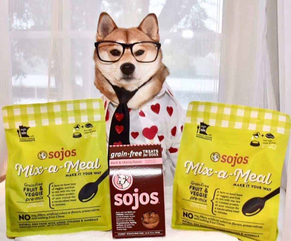 Sojos Dog Food Review 2022 The Best Raw Pet Food Today?