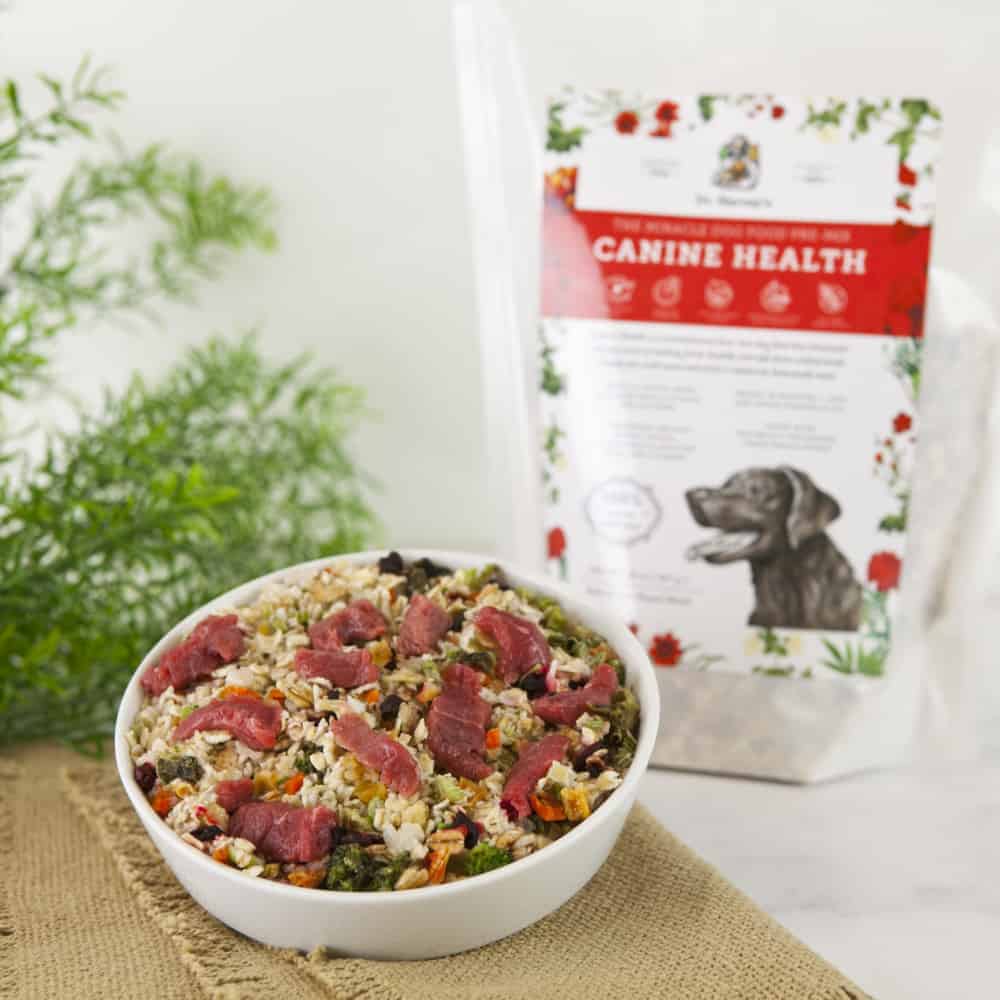 Dr. Harvey's Dog Food Review 2022 The Best Raw Food Diet?