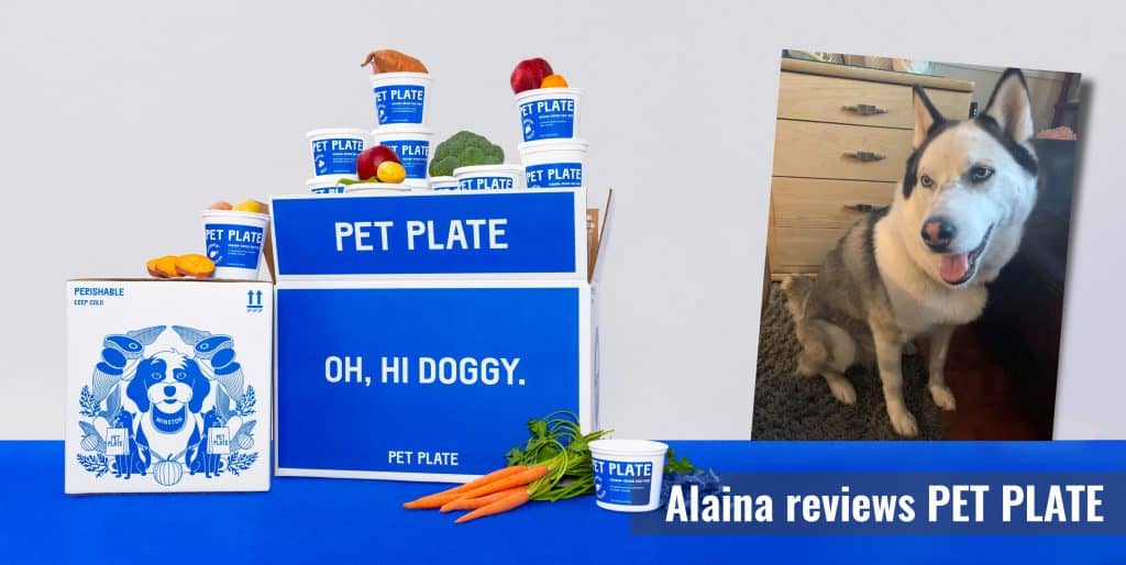 Pet Plate Dog Food Review 2022 Is It The Best of All?