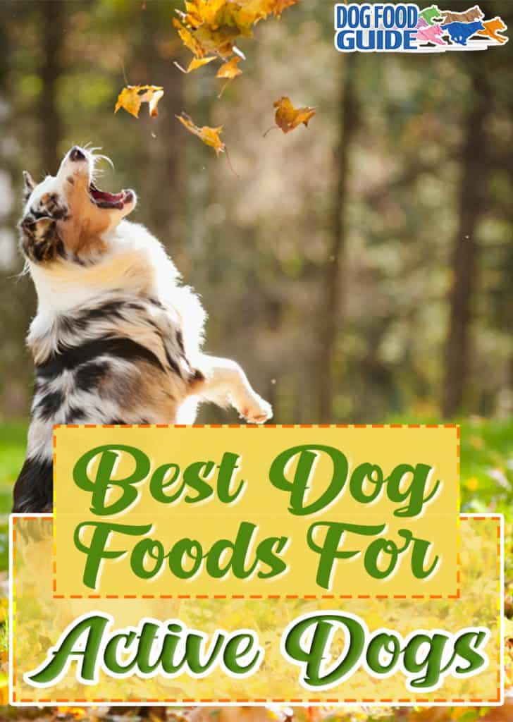 Top 10 Best Dog Food for Active Dogs: Fuel Their Adventure 2