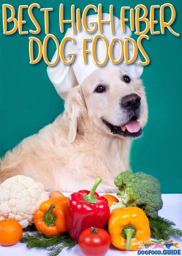 Venison Dog Food for 2022 The 10 Best & Healthiest Brands