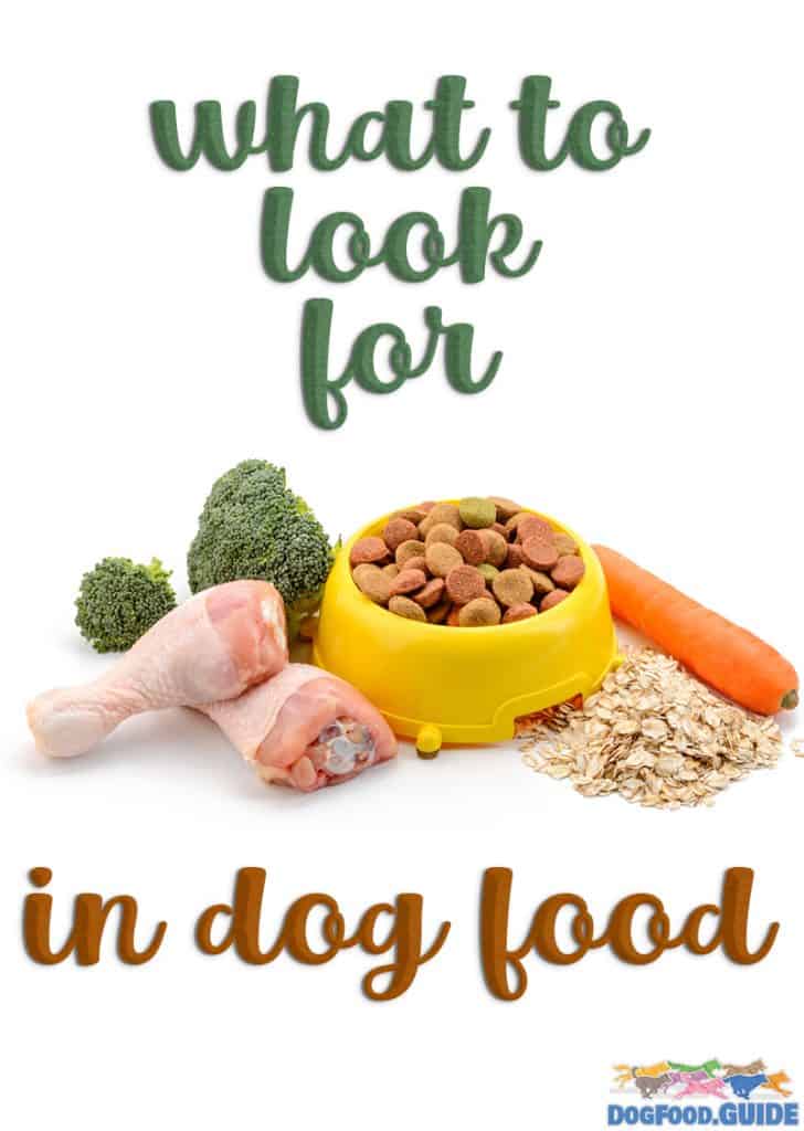 What to Look for in Dog Food
