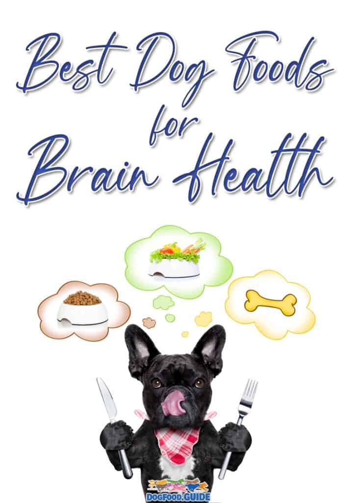 Best Dog Foods for Brain Health