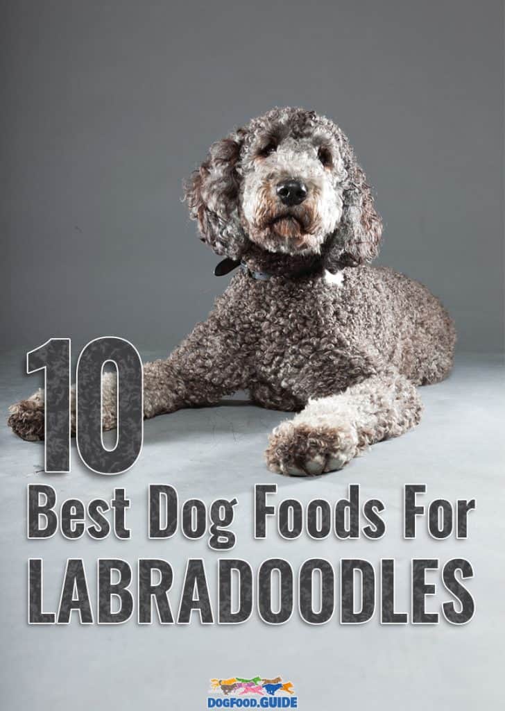 Best Dog Foods For Labradoodles