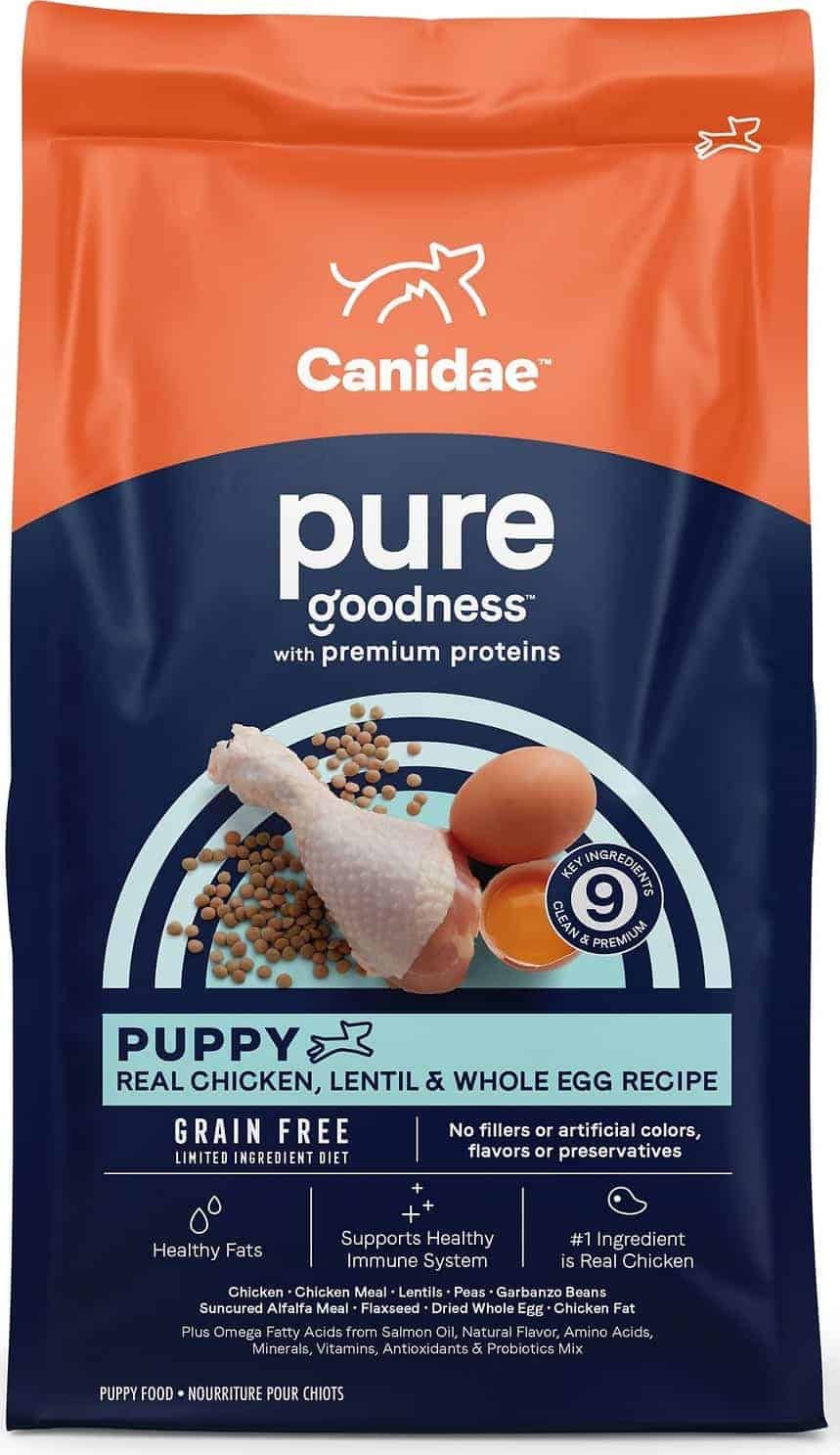 10 Healthiest & Best Dog Food for Bichon Frise in 2022 Revealed!