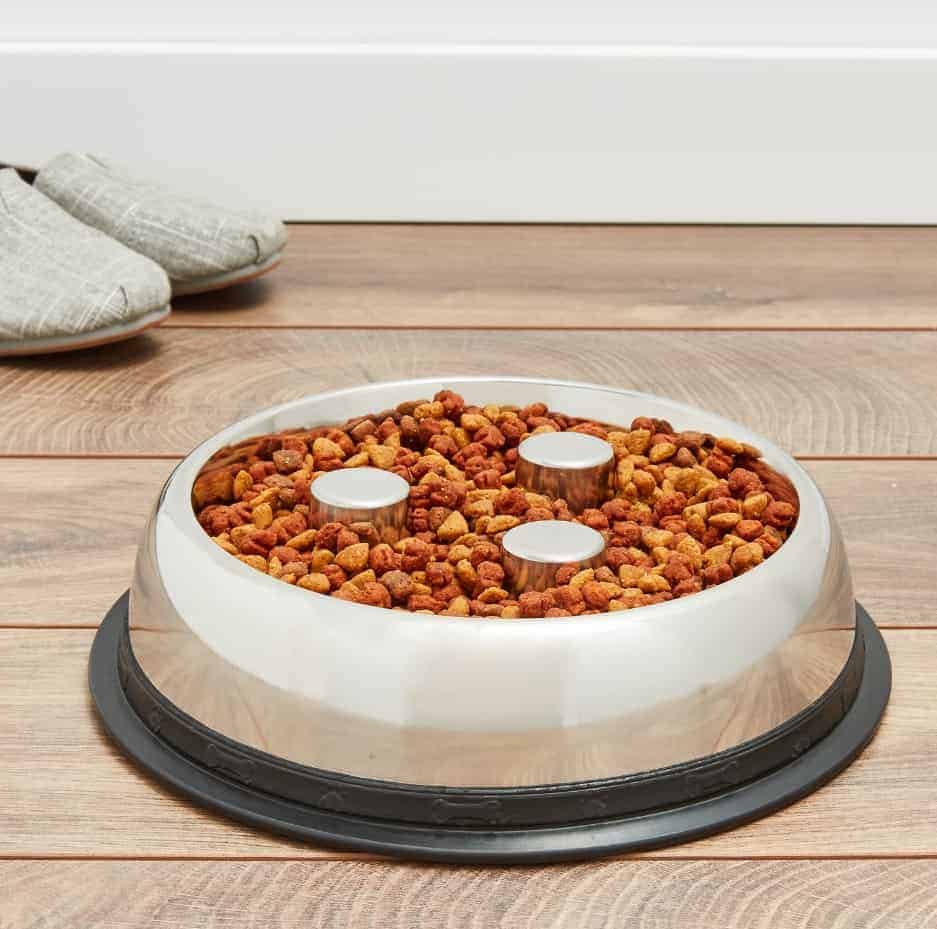 12 Best Slow Eating Dog Bowls for 2022 Complete Buyer's Guide