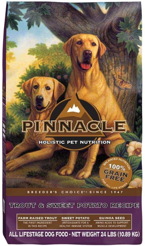 5 Best Yeast Free Dog Food Brands Our Top Picks for 2021!