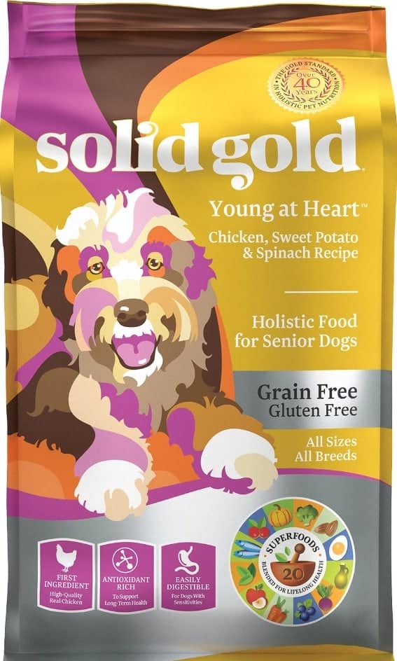 10 Healthiest & Best Dog Food For Hunting Dogs 2022 Revealed!